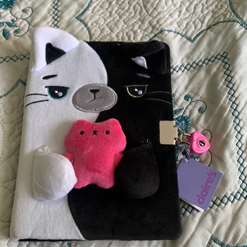 Girls diary with keys and lock . New